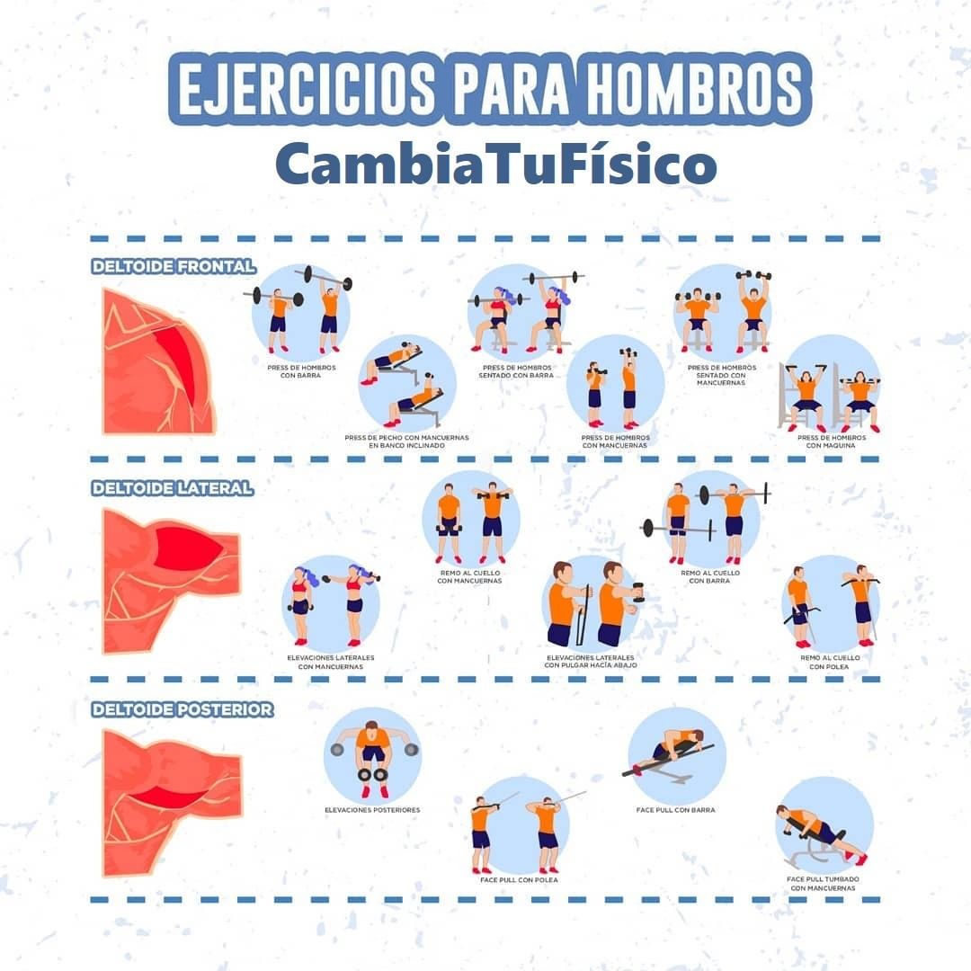 Ejercicios Para Hombros CambiaTuFisico Blog