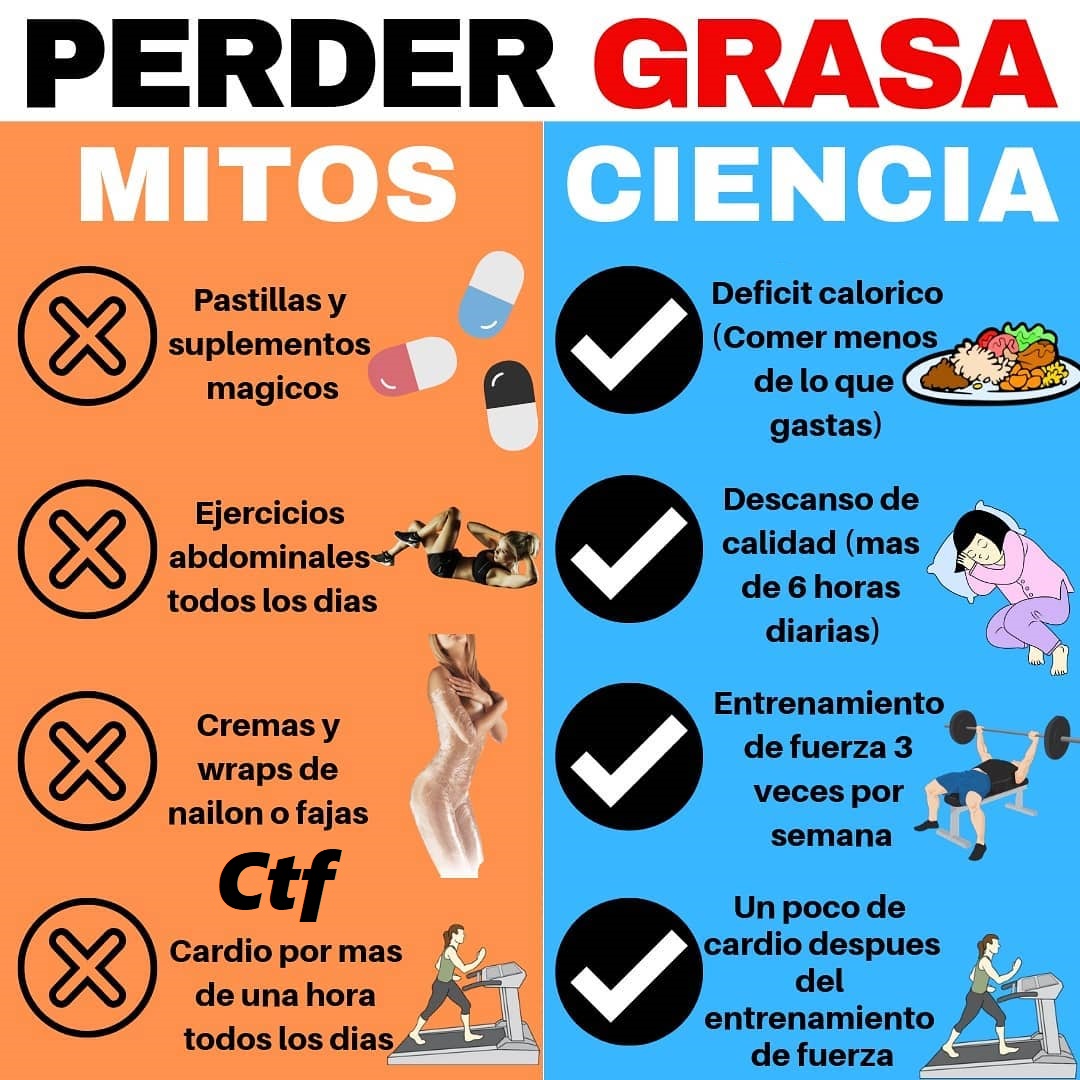 Perder Grasa Mitos Y Ciencia CambiaTuFisico Blog