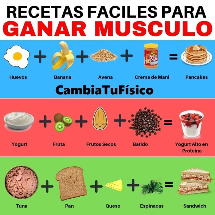 Recetas fáciles para ganar músculo CambiaTuFisico Blog