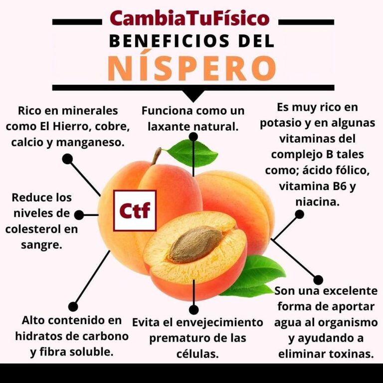 Beneficios del níspero CambiaTuFisico Blog