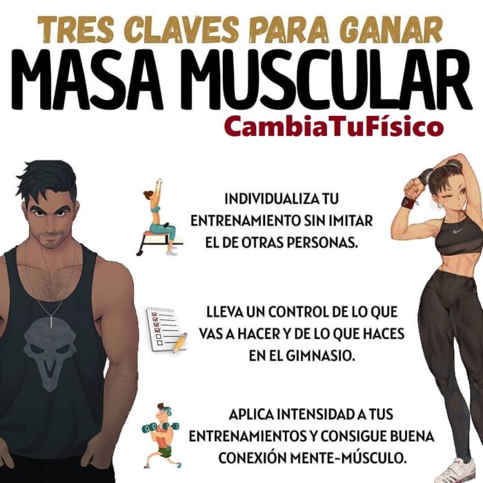 Tres Claves Para Ganar Masa Muscular Cambiatufisico Blog