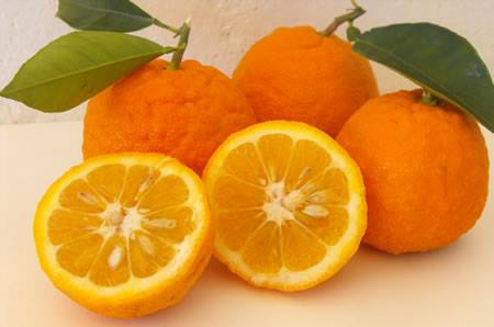 Beneficios para la salud de la naranja agria