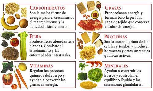 Información básica de macronutrientes y micronutrientes