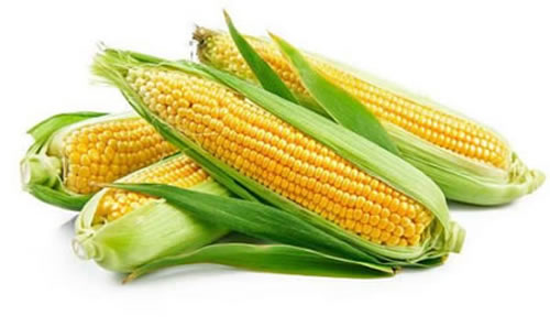La importancia del maíz o choclo en nuestra dieta diaria