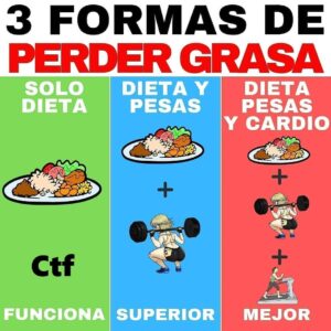 3 Formas de perder grasa