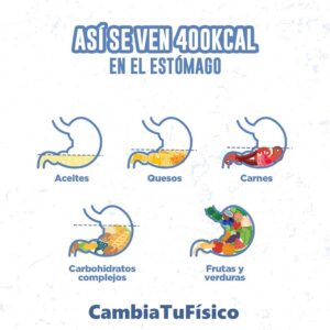 Así se ven 400kcal en el estómago