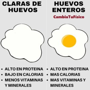 Claras de huevos vs Huevos enteros