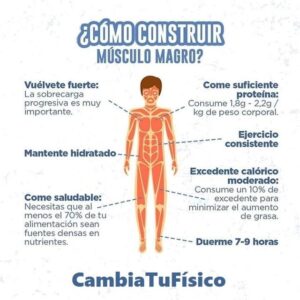 ¿Cómo construir músculo magro?