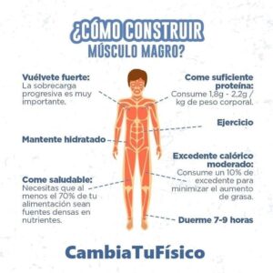 ¿Cómo construir musculo magro?