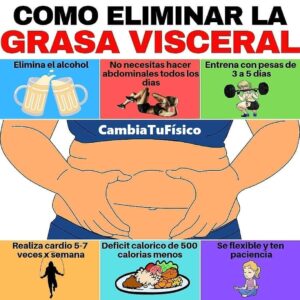 ¿Cómo eliminar la grasa visceral?