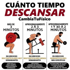 ¿Cuánto tiempo descansar?