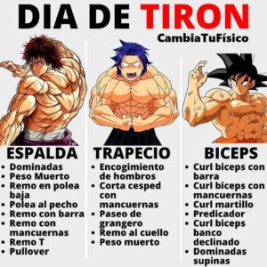 Día de tirón