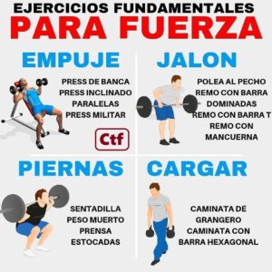 Ejercicios fundamentales para fuerza