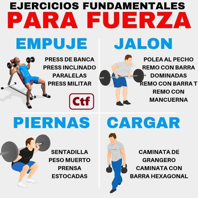 Ejercicios Fundamentales Para Fuerza – CambiaTuFisico Blog