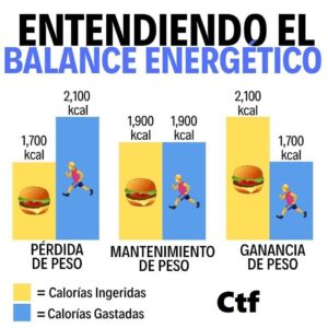 Entendiendo el balance energético