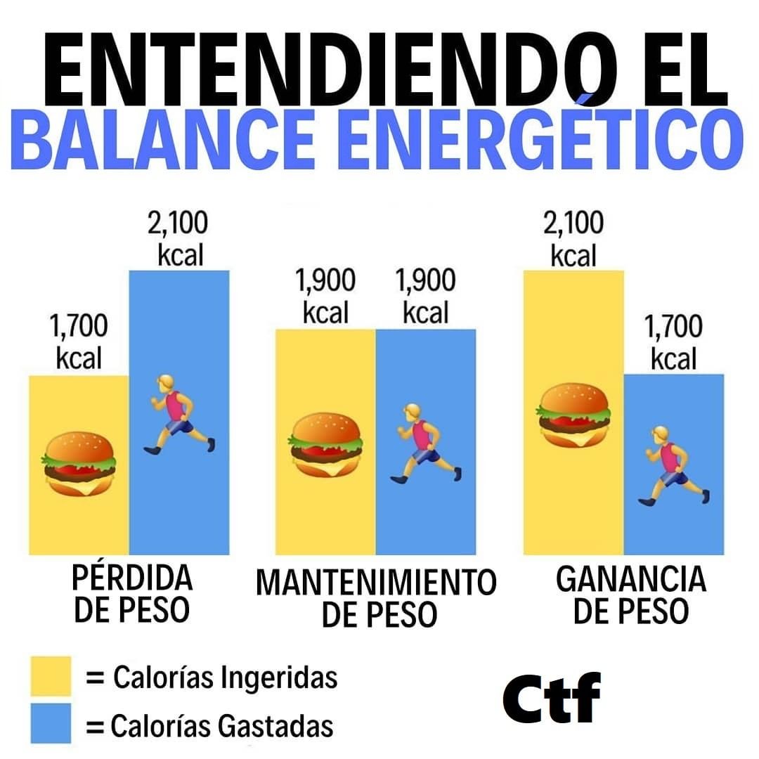 Entendiendo El Balance Energético Cambiatufisico Blog 4814