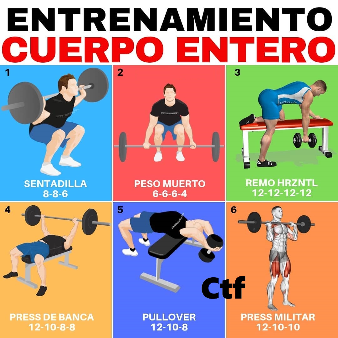 Entrenamiento Cuerpo Entero – CambiaTuFisico Blog