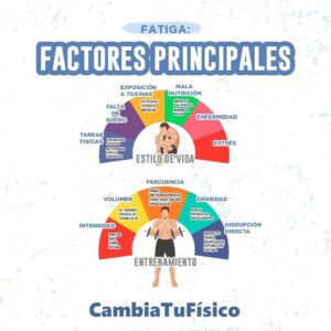 Factores principales de la fatiga