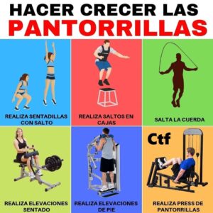 Hacer crecer las pantorrillas