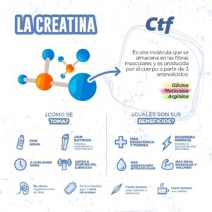 La creatina