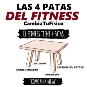 Las 4 patas del fitness