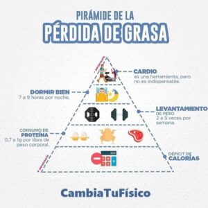 Pirámide de la pérdida de grasa