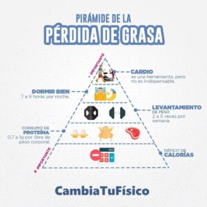 Pirámide pérdida de grasa
