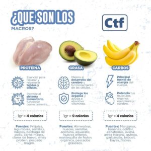 ¿Qué son los macros?