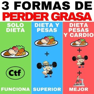 3 Formas de perder grasa