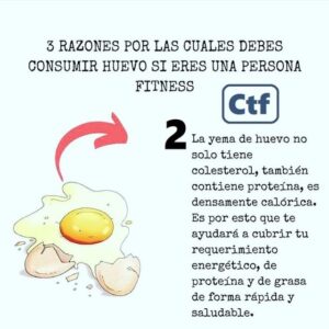 3 Razones por las que debes consumir huevo si eres una persona fitness