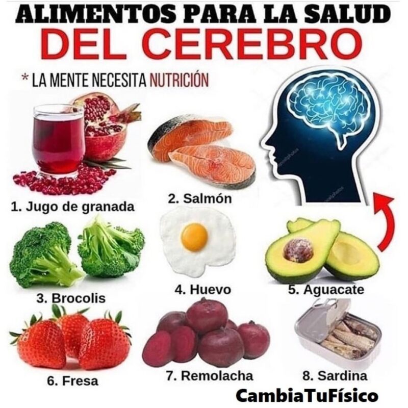 Alimentos Para La Salud Del Cerebro – CambiaTuFisico Blog