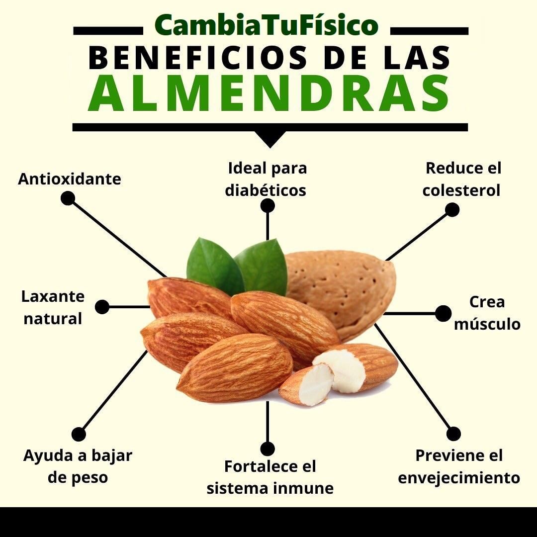 Beneficios De Las Almendras Cambiatufisico Blog 9860