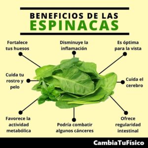 Beneficios de las espinacas