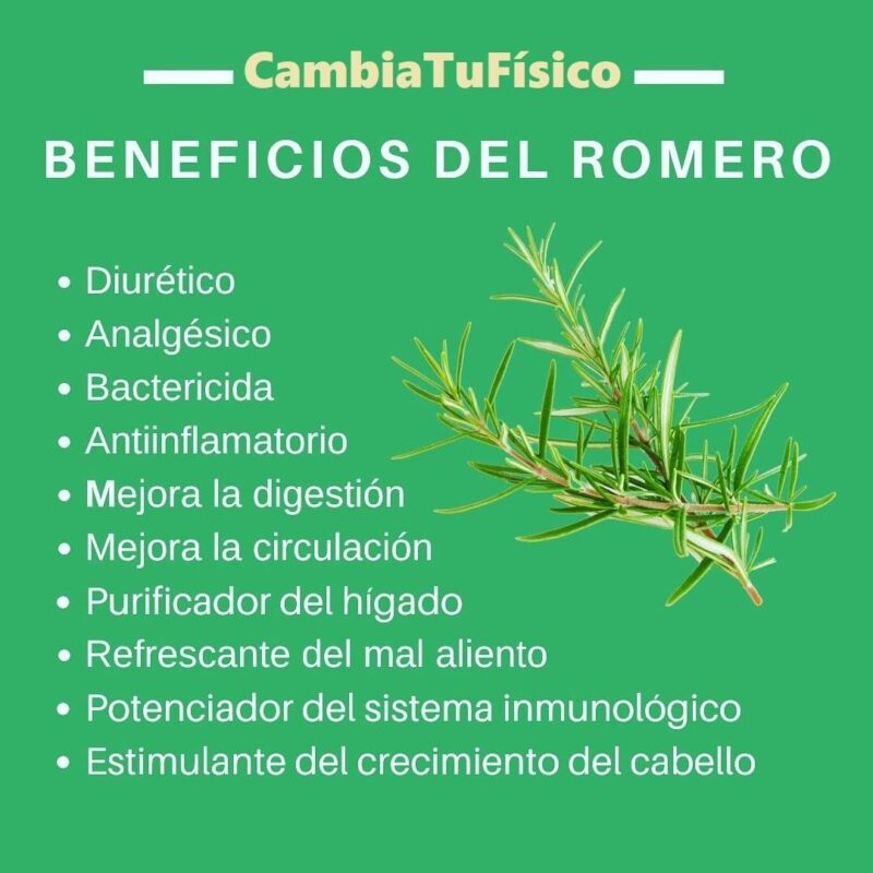 Beneficios del romero \u2013 CambiaTuFisico Blog