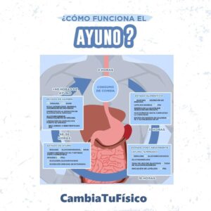 ¿Cómo funciona el ayuno?