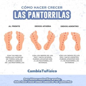 ¿Cómo hacer crecer las pantorrillas?