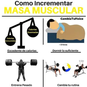 ¿Cómo incrementar masa muscular?