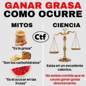 ¿Cómo ocurre ganar grasa?