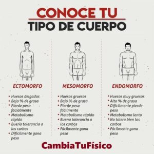 Conoce tu tipo de cuerpo