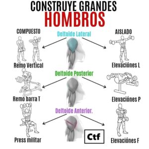 Construye grandes hombros