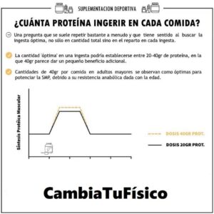 ¿Cuánta proteína ingerir en cada comida?