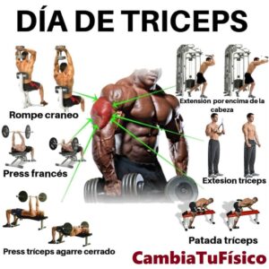 Día de tríceps