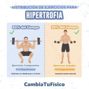 Distribución de ejercicios para hipertrofia