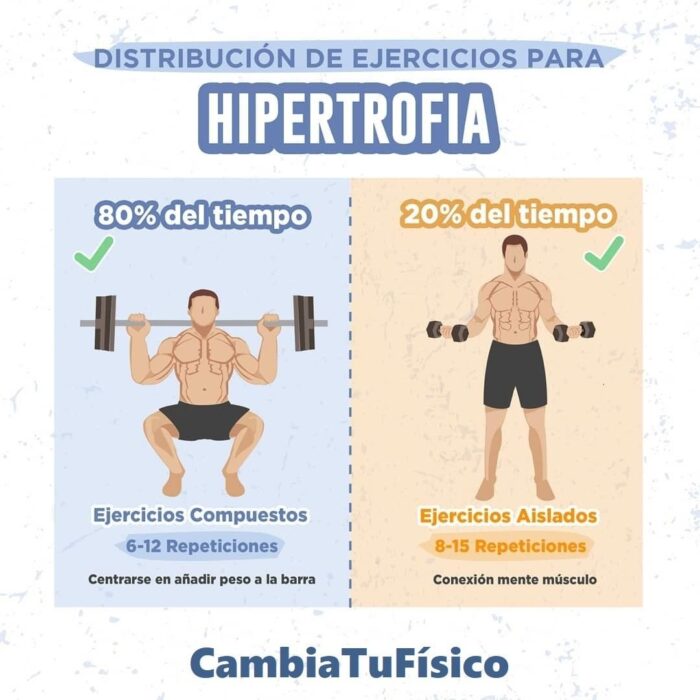 Distribución De Ejercicios Para Hipertrofia – CambiaTuFisico Blog