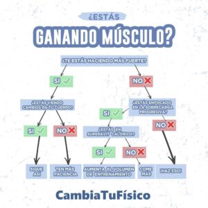 ¿Estas ganando músculo?