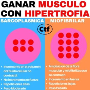 Ganar músculo con hipertrofia