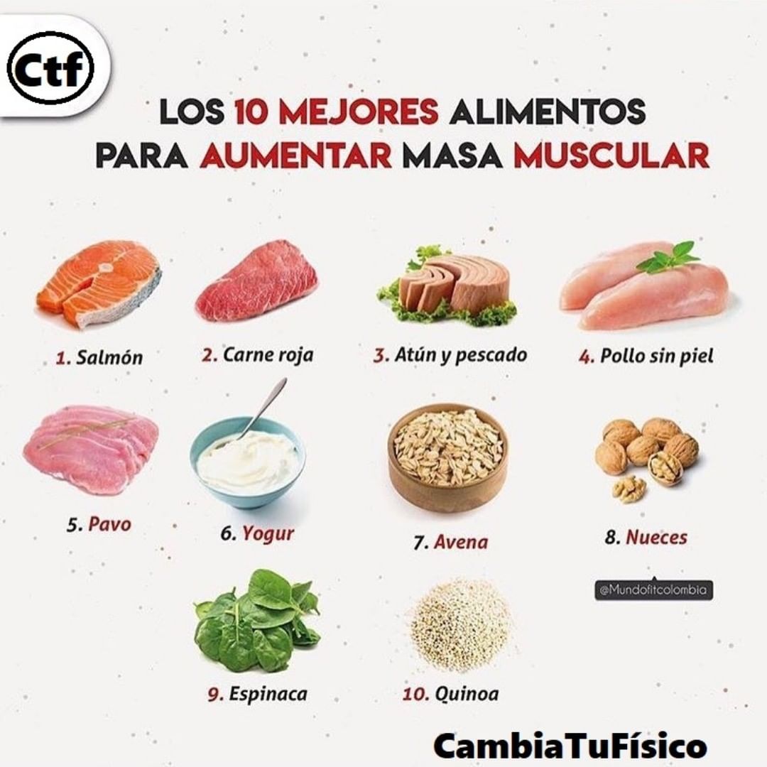 Los 10 Mejores Alimentos Para Aumentar Masa Muscular Cambiatufisico Blog 1517