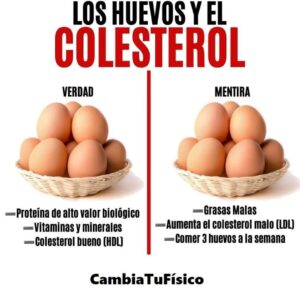 Los huevos y el colesterol
