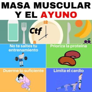 Masa muscular y el ayuno