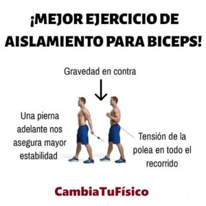 Mejor ejercicio de aislamiento para bíceps